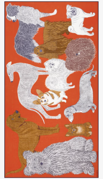 Étole 100 x 190 TOUTOU orange Inoui Editions