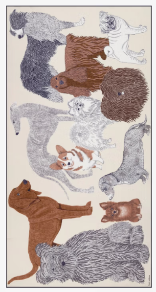 Étole 100 x 190 TOUTOU Blanc Inoui Editions