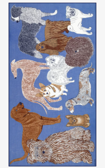 Étole 100 x 190 TOUTOU Bleu Inoui Editions